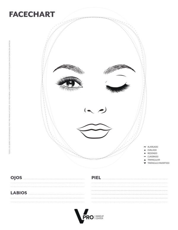 FACECHART PACK X5